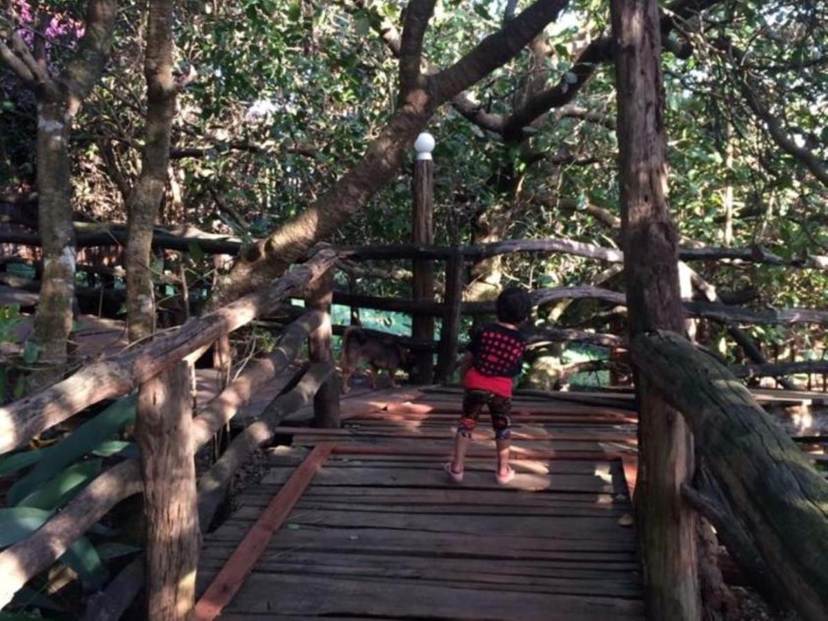 Tree Top Eco-Lodge Banlung Exterior photo
